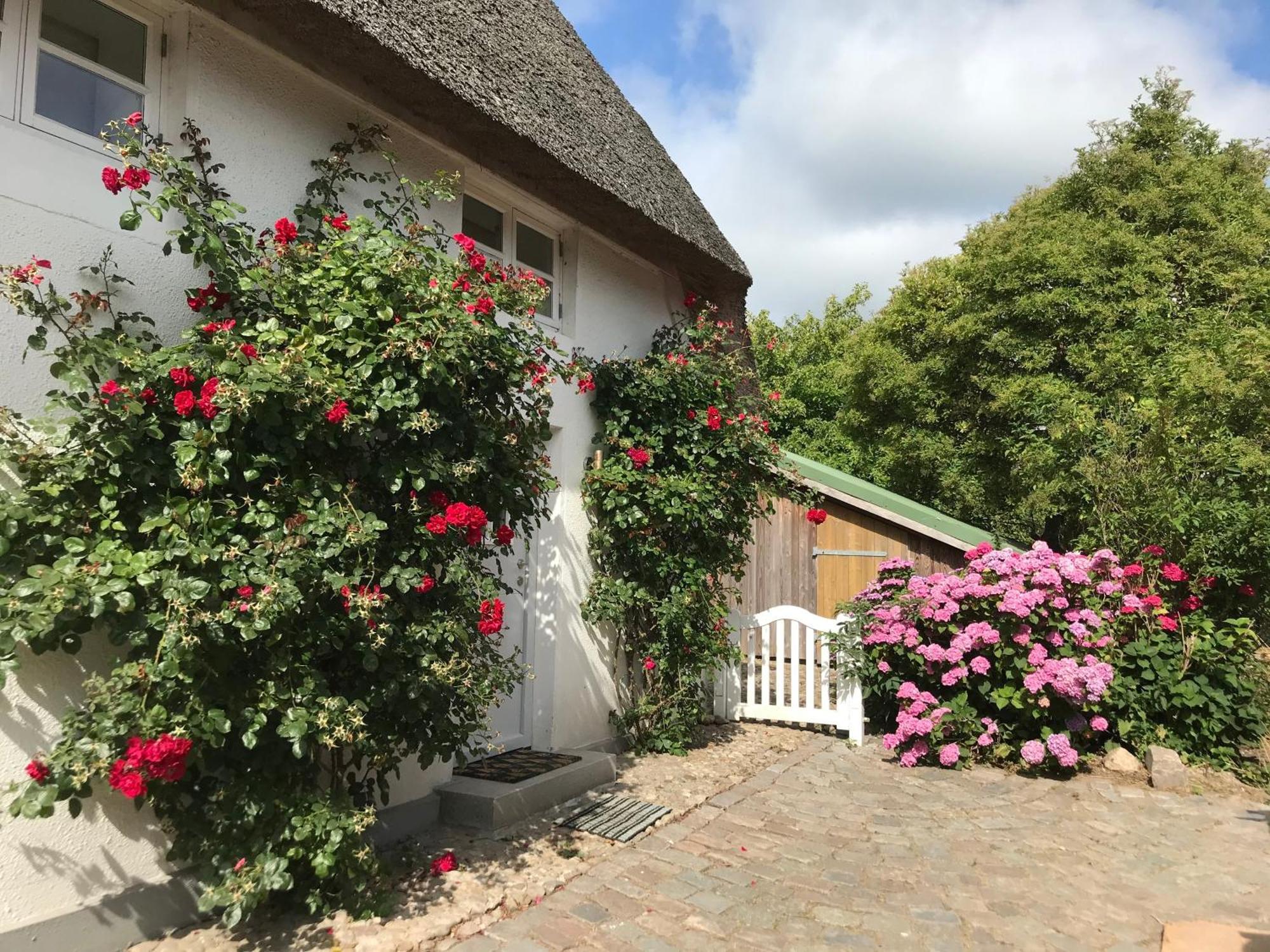 Vila Haus Oevenum Exteriér fotografie