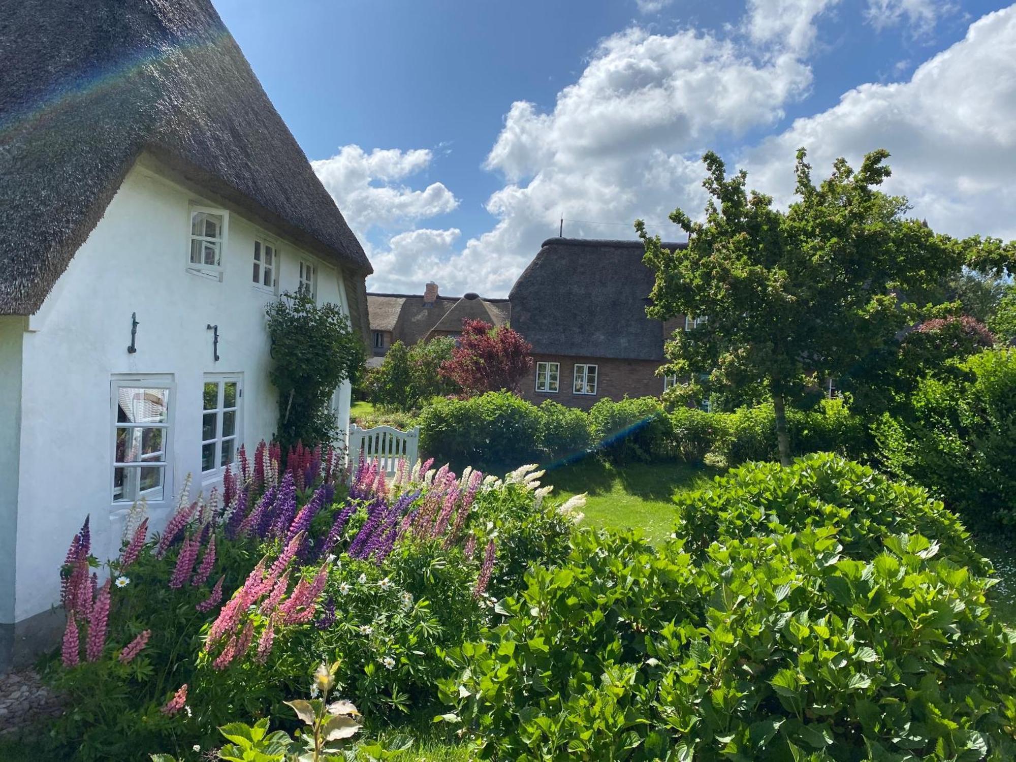 Vila Haus Oevenum Exteriér fotografie